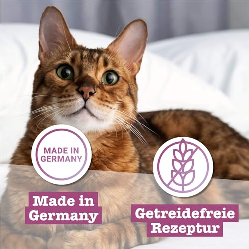 catz finefood Classic Collection Katzenfutter nass Mix-Paket - Gourmet Nassfutter für Ihre Katze ohne Zucker & Getreide, glutenfrei - mit hohem Fleischanteil, Made in Germany (6 x 800g Dosen)