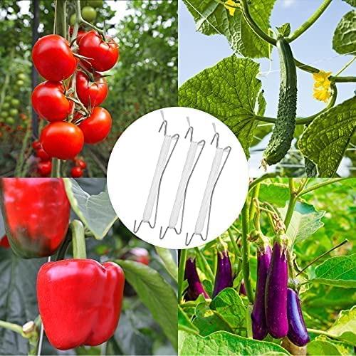 Amazon | トマトフック 誘引クリップ 園芸 支柱 フック10 個 + 吊り