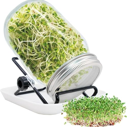 Sprossenglas Keimglas Set 750ml Keimgläser für Sprossen Sprouting Jar mit Edelstahl Filterdeckel Ständer und Auffangschale Keimglas für Brokkoli Alfalfa Kresse Einsteiger Set für Microgreens
