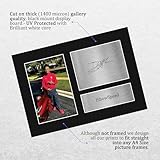 Zoom IMG-2 hwc trading ishowspeed darren jason Zoom IMG-2 hwc trading ishowspeed darren jason