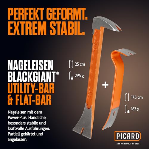 PICARD BlackGiant Nageleisen Twin Set Nr. 46X/46Y | Präzisionsarbeit für Handwerker | Profi Qualität für Bau Renovierung Reparatur | Länge 175mm & 250mm | Made in Germany seit 1857