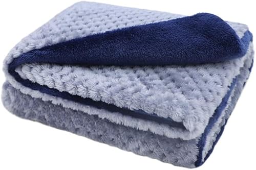 RIKMSS ペット用 毛布、 ブランケット、 犬 猫用 毛布、タオル、マット、クッション、ペット ベッド 防寒用 布団 、ソフト、暖かい ふわふわ 通気性 四季適用、二重布厚み版 (L: 80x100cm、青い ）