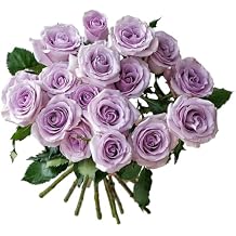 24 stem Ocean Song Roses Fresh Cut Flower Wholesale of loose flowers home hydroponic flower arrangement Diy Gifts