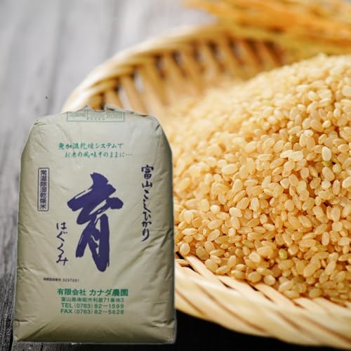 [定期便][令和7年産]定期便・隔月6回 富山県産こしひかり 育(はぐくみ)玄米30kg[南砺の逸品]