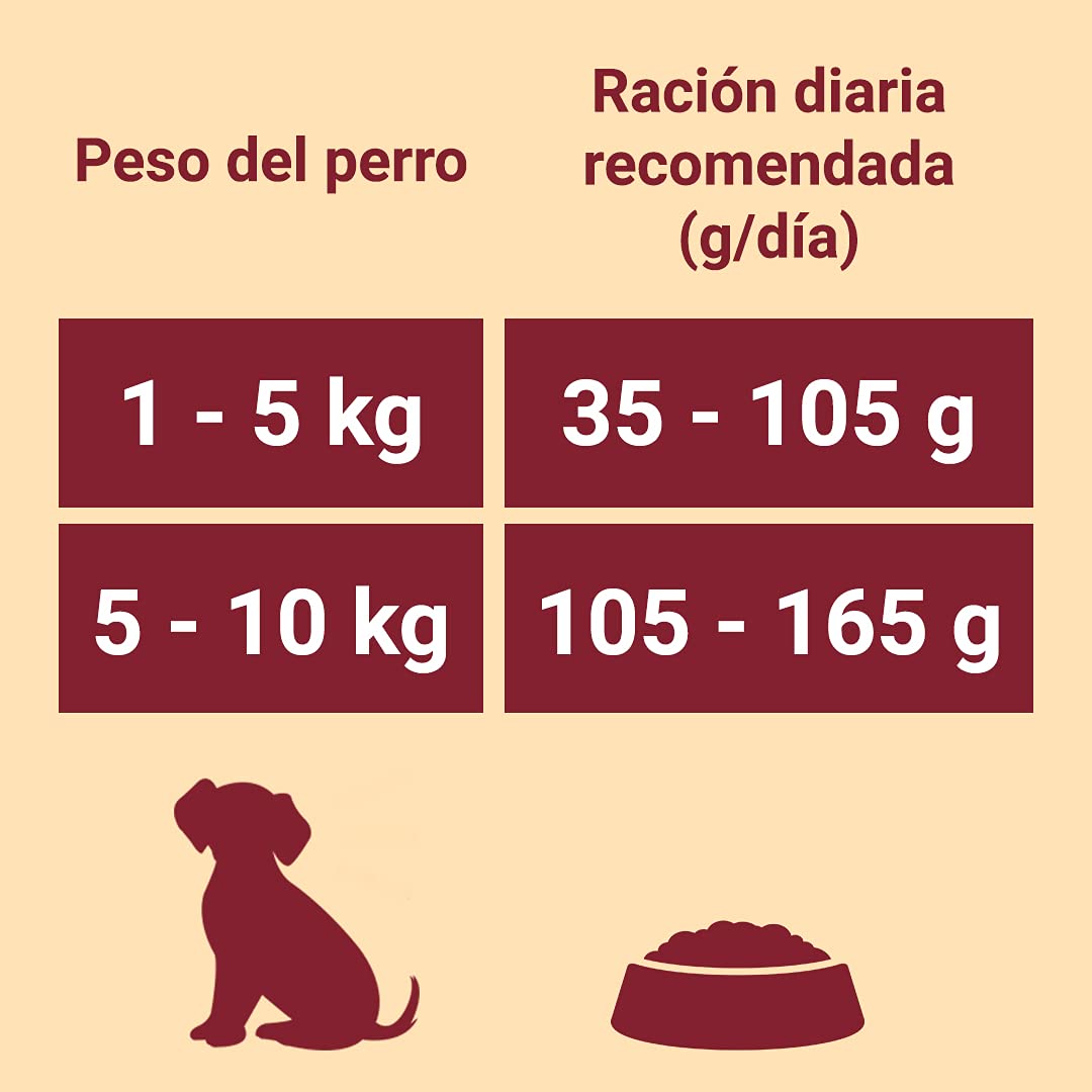 Purina ONE Mini <10kg pienso perro pequeño Sensible Salmón 6x1,5 kg