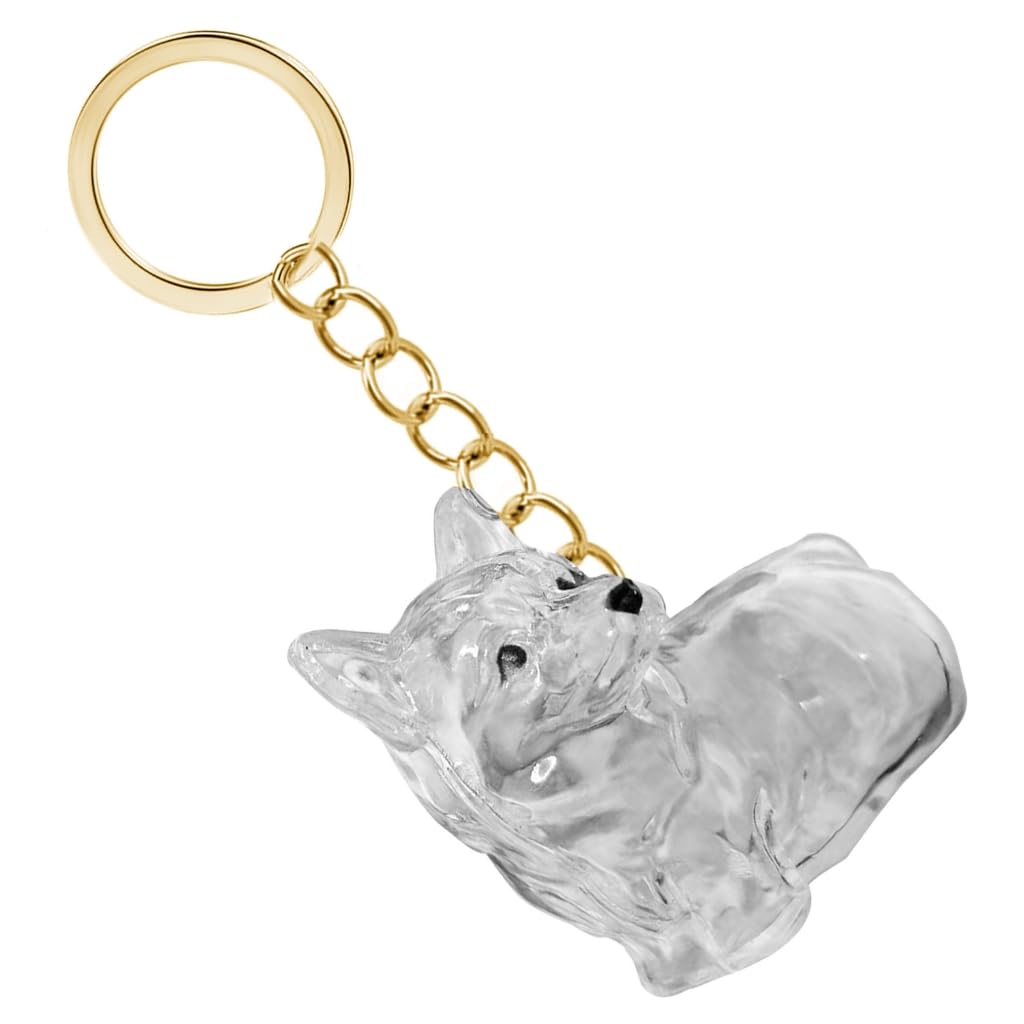 Miniature Pet Hair Memorial Case Clear Travel Keychain Keepsake Fur Collector Box for Dog Owner with Secure Clasp
