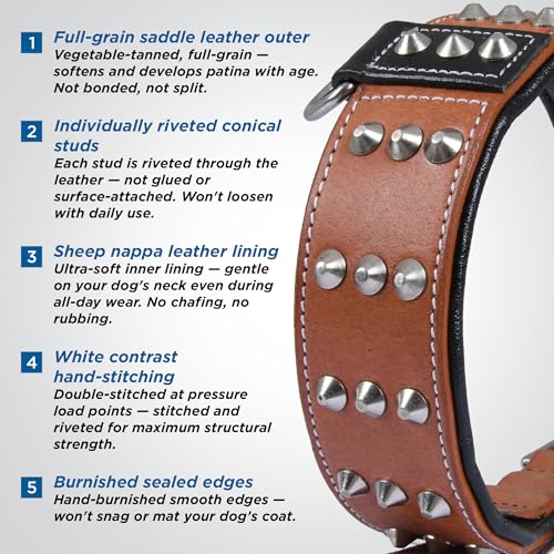Collar de cuero premium para perros medianos 2 pulgadas marrón miniatura 3