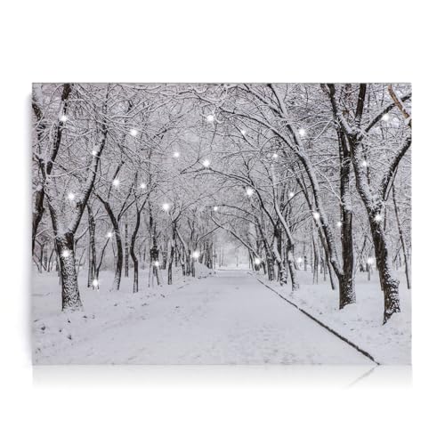 NIKKY HOME 16" x 12" LED Lighted Canvas Wall Art