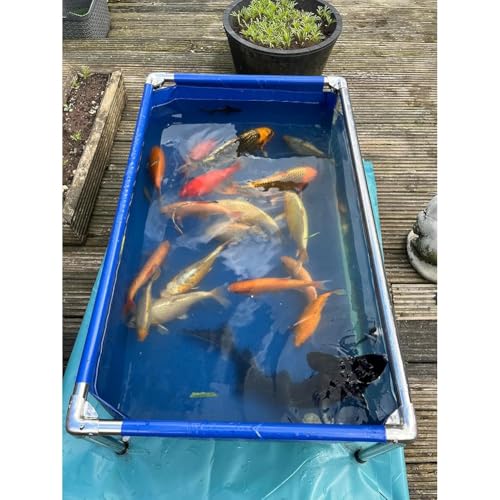 Aquarium avec fenêtre d'observation pour élevage tortues - 7