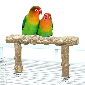 Bird Cage Top Play Stand - Explore These 5 Must-Have Features Today 1 bird cage top play stand