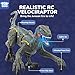 STEAM Life Remote Control Large Velociraptor Dinosaur Toy for Kids – Realistic RC Dino with Sounds, Lights & Walking Action – Rechargeable Raptor Toy for Boys & Girls