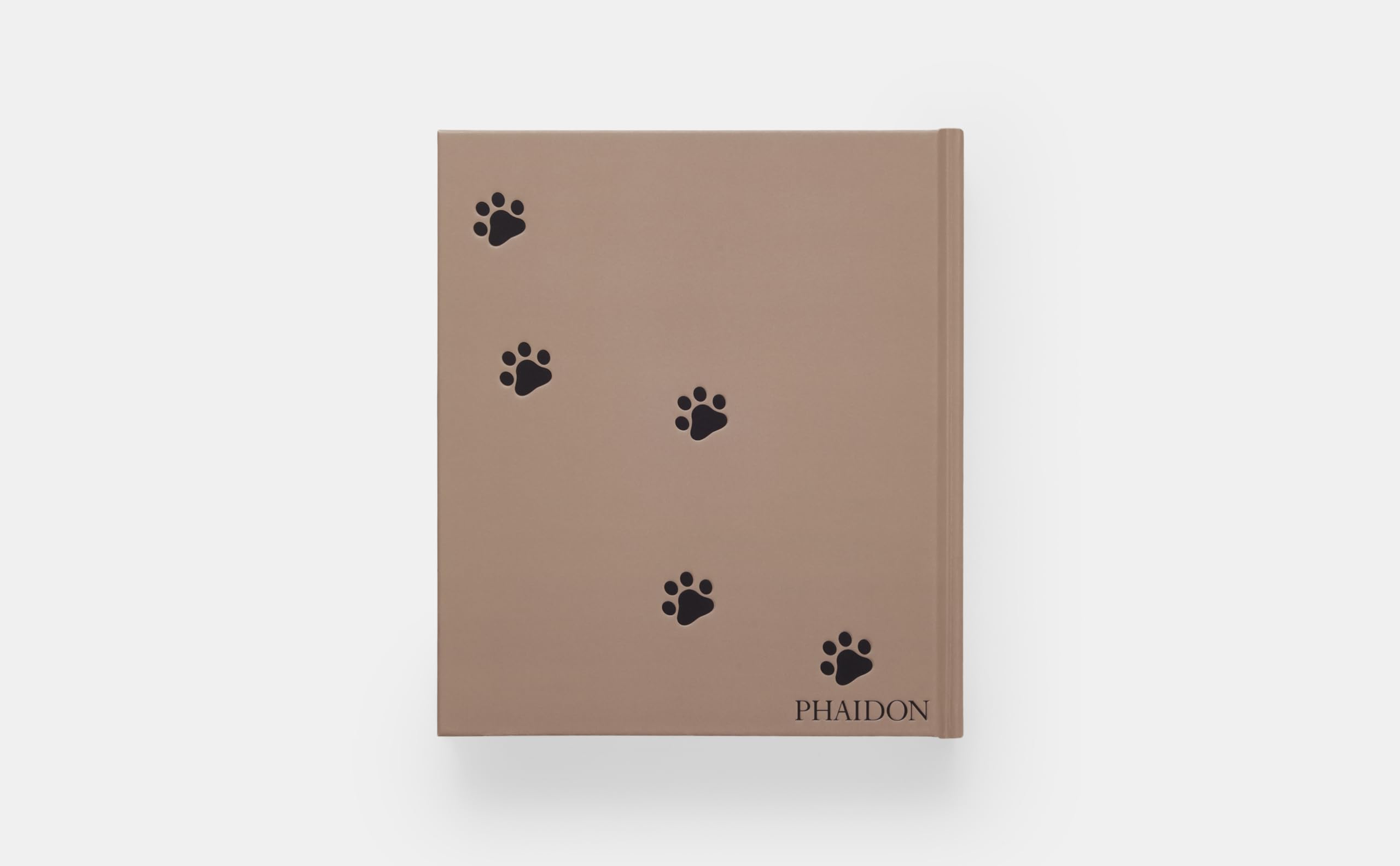 Cat (ART)