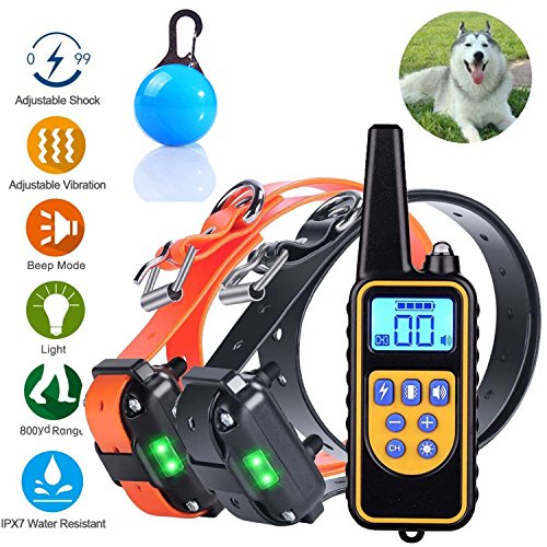 remoto 1000 perro entrenamiento collar Rechargetable y 100% impermeable, con señal sonora/vibración/collar...