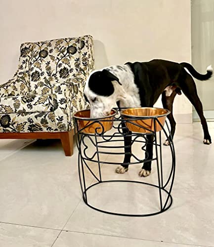 See full amazon price history chart for PAWSPOT Dog Bowl for Food & Water | Raised Stand Double Feeding Bowl | 16 Inch Height 1900 ML Each Bowl | Elevated Feeder | Heavy Steel Metal, Topple Proof | Large & Medium Breed PAWSPOT Dog Bowl for Food & Water | Raised Stand Double Feeding Bowl | 16 Inch Height 1900 ML Each Bowl | Elevated Feeder | Heavy Steel Metal, Topple Proof | Large & Medium Breed (B09ZC3QR4F) Amazon Price History, Amazon Price Tracker