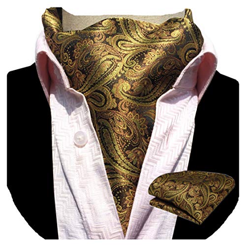 Image of MIPPO Men's Ascot Paisley Floral Jacquard Woven Gift Cravat Tie