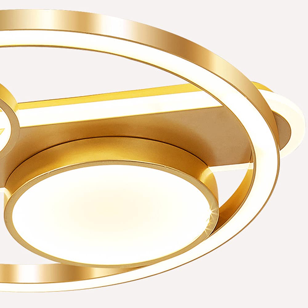 JHJJQQMQZZ Gold Ring Ceiling Light, Modern Led Ceiling