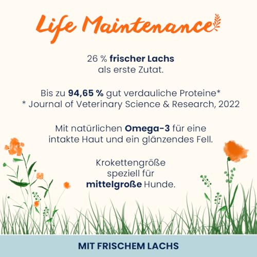 Almo Nature Life Maintenance Trockenfutter für Hunde M mit Lachs 12 kg – Alleinfuttermittel für ausgewachsene Hunde mittelgroßer Rassen