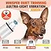 Dog Nail Trimmers Ultra Quiet Electric Pet Dog Nail Clippers Cat Nail Clipper with Led Lights Nail Grinder High Speed Nail File Electric Clippers for Grooming Small, Medium,Large Dogs and Cats (white)