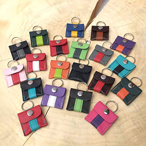 Camino Halsbandtasche aus Leder für Hunde - Hundemarke, Steuermarke, Tassomarke, Einkaufschip | Ring Aufbewahrung | Viele Farbkombinationen möglich | Handmade by Manufactica®