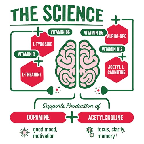Image of BrainJuice Nootropics Brain Support Supplement, Gluten Free Powder for Energy and Focus, Drink Mix with L Theanine, Alpha GPC, Vitamin B, Organic Green Tea Extract (Pomegranate)