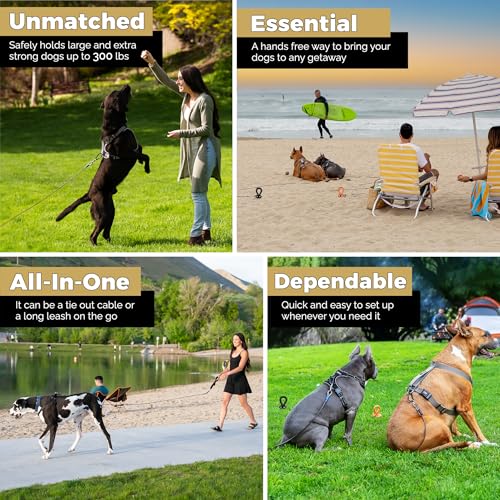 Dog Tie Out Cable and Stake 30ft - for Large Dogs up to 300 lbs - Heavy Duty Tether and Dog Stake for Yard, Beach & Camping Outside (Black, L/XL - 30ft) - Image 3