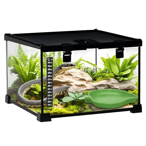 DIMENSIONE: Dimensioni complessive: 30L x 30P x 20A cm. Nessun montaggio richiesto, pronto all'uso. Ideale per lucertole, rane cornute, tartarughe acquatiche, serpenti, ragni e altri animali. Nota: rettile e altre decorazioni non inclusi