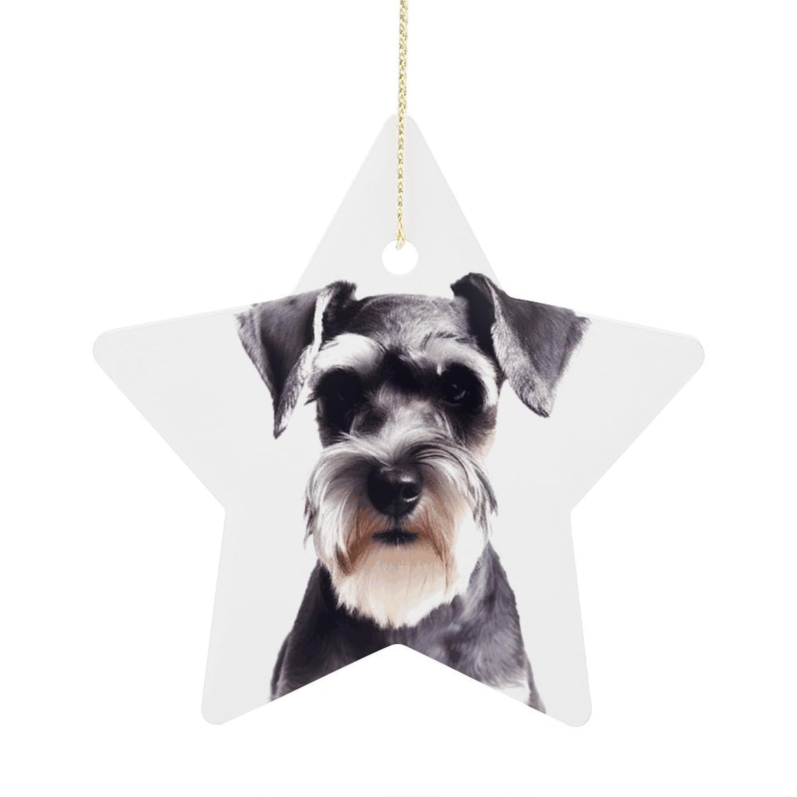 Well-Behaved Schnauzer Stars Ornaments Ceramic Christmas Tree Hanging Light in Weight Christmas Star Pendants Funny Double-Sided Printed Xmas Ornaments for Gifts