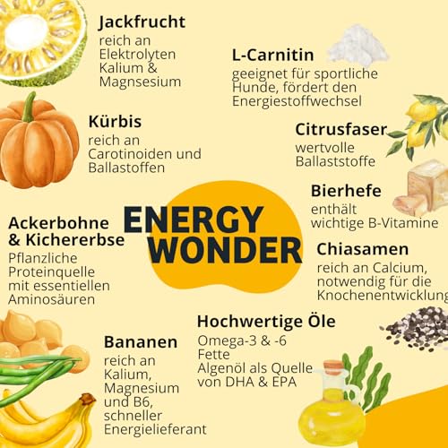 BugBell 400g Nassfutter, Pflanzlich & Vollwertig, Purinarm , Napferlebnis mit Jackfrucht, für aktive Hunde, Banane & Chia & L-Carnitin als Energielieferanten, hergestellt in DE