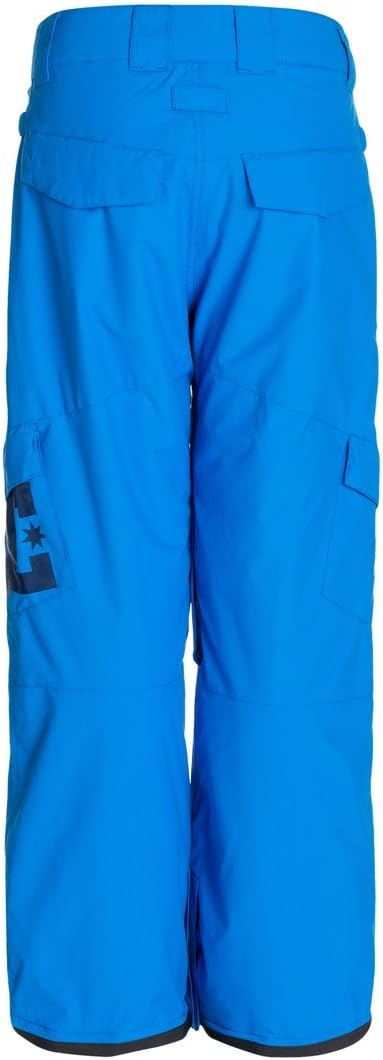 DC Apparel Big Boys' Banshee K 15 Snow Pant