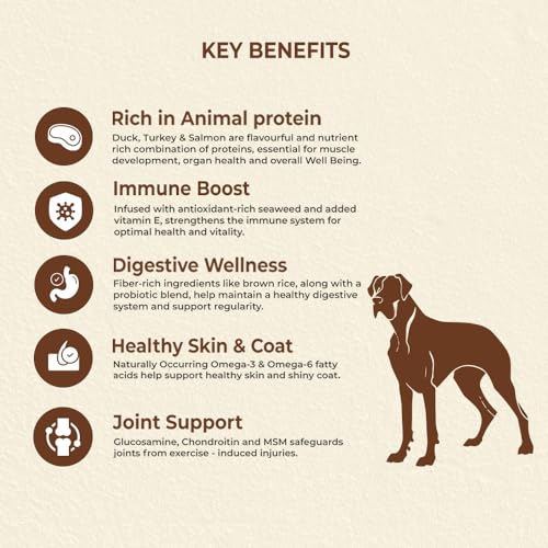 Image of Brunos Sunburn Dry Dog Food - 5Kg (Pack of 1) |Duck, Turkey & Salmon | Chicken-Free | Multi-Meat Recipe|32% Protein & 20% Fat | Supports Growth, Joints & Digestion|for All Life Stages