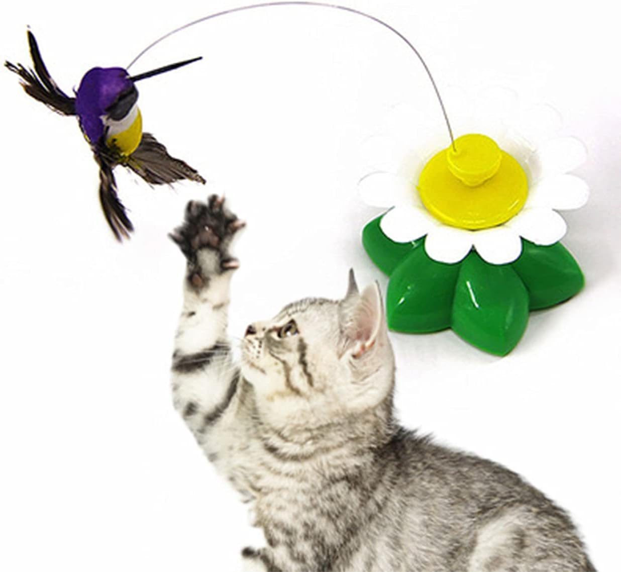 interactive bird toy for cats