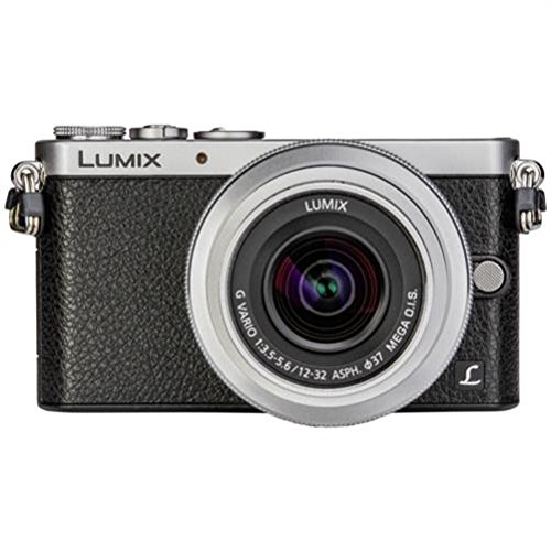 308ショット Panasonic LUMIX DMC-GM1S #8951 308ショット Panasonic LUMIX DMC-GM1S #8951 - メルカリ