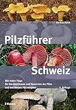 pilze schweiz 2018  Pilzführer Schweiz: Mit vielen Tipps fürs Bestimmen und Verwerten und den besten Pilzrezepten