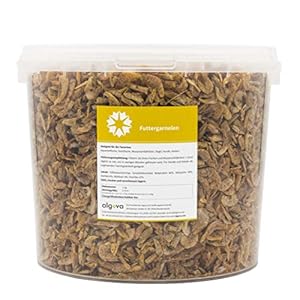 Süßwasser Shrimps getrocknet 2-4cm Futter Wasserschildkröten Koi algova® (5L = 800g)