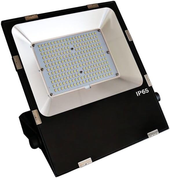 PSA8 ファイヤーex プロモ 009 2004 プレイヤーズクラブ