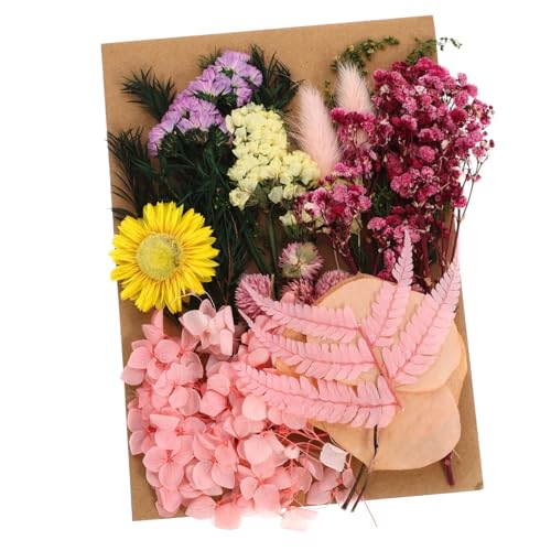Kit de flores secas para decoración Alipis