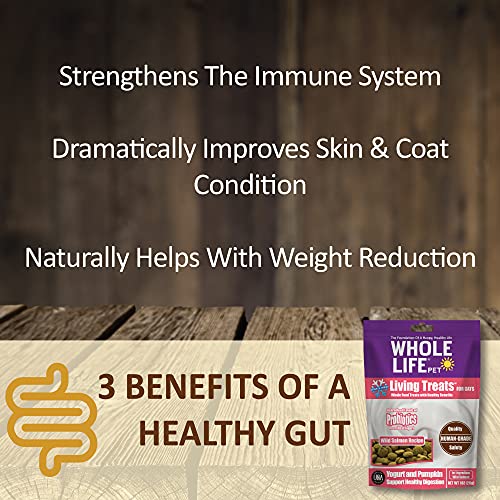 Whole Life Pet Living Treats for Cats – Healthy Gut with Chicken and Yogurt – Human Grade, Probiotics, Easy Digestion… - Image 4