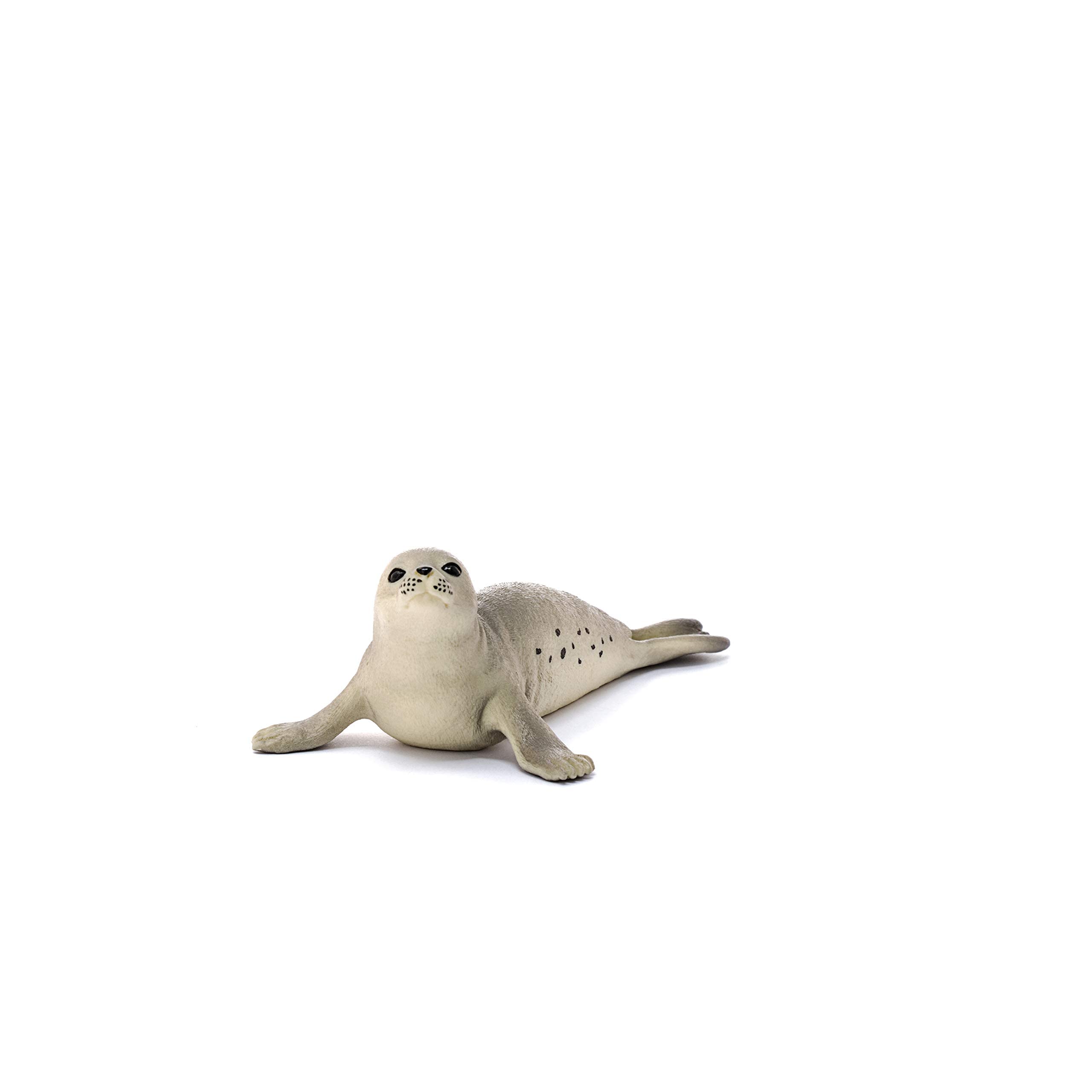 Amazon.co.jp: シュライヒ schleich ワイルドライフ アザラシ