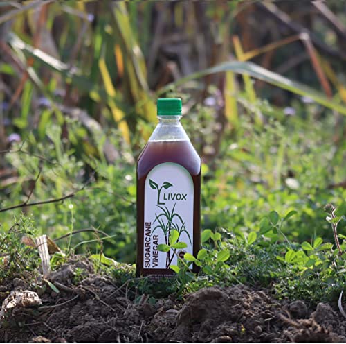 Image of LIVOX Organic 1 Litres Sugar Cane Vinegar 100% Pure Ganne Ka Sirka Made In Village Eat Natural Live Healthy.