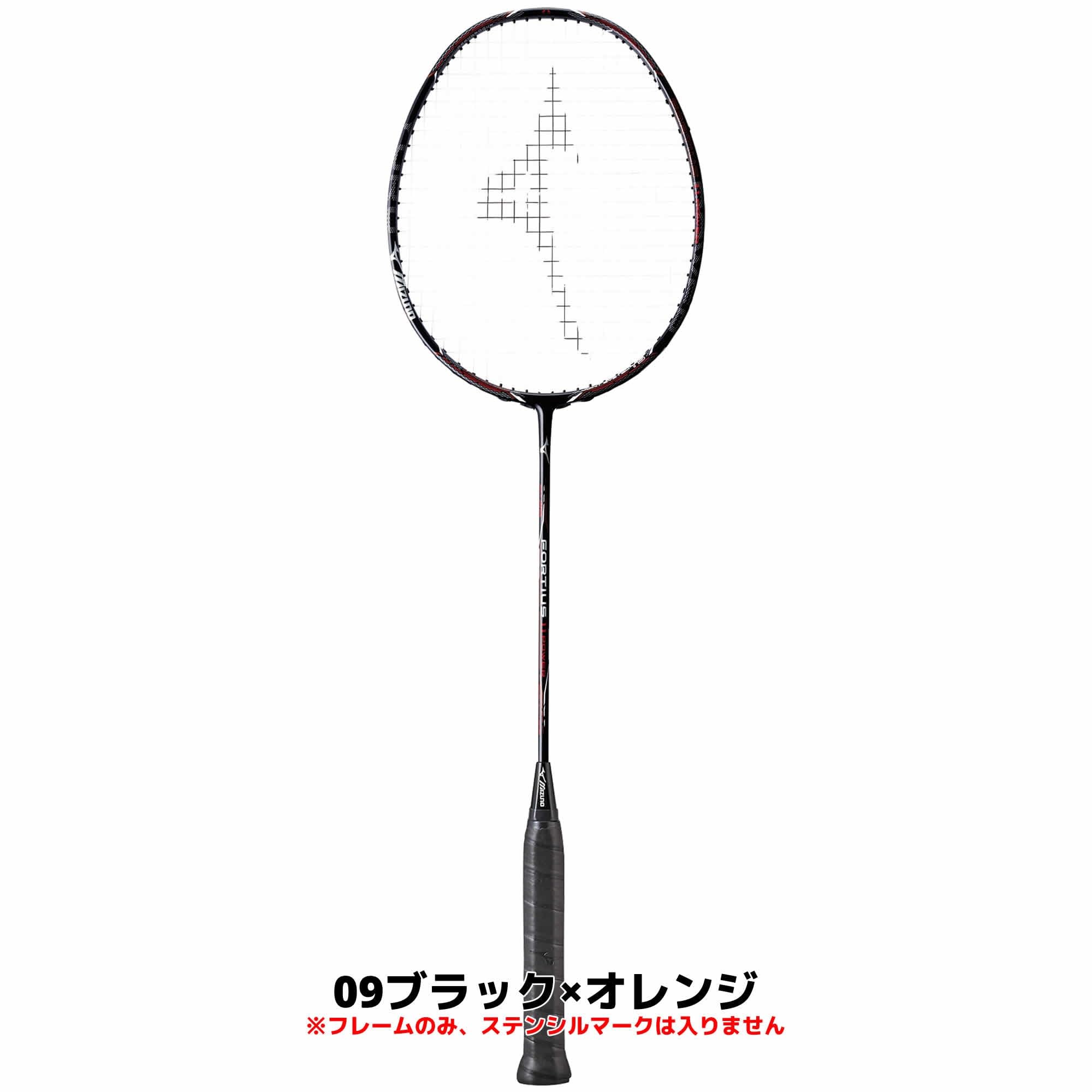 ミズノ　フォルティウス11パワー（2本セット）値引きなし ミズノ フォルティウス11パワー（2本セット）値引きなし 楽天