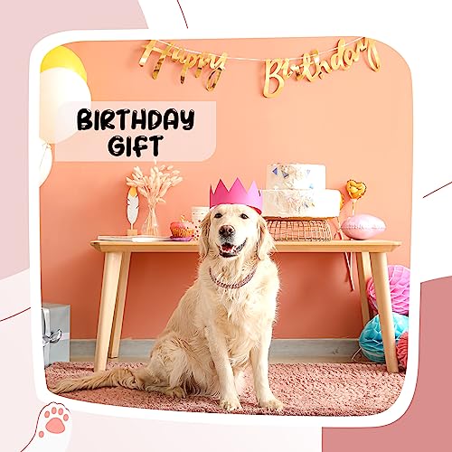 LEIFIDE Dog Cat Chain Collar Diamond Collar 12 mm Wide Chain for Cat Metal Small Dog Collar Pet Crystal Collar Necklace Accessories for Cats Puppy Link Gifts (Rose Gold, Pink,16 Inch)