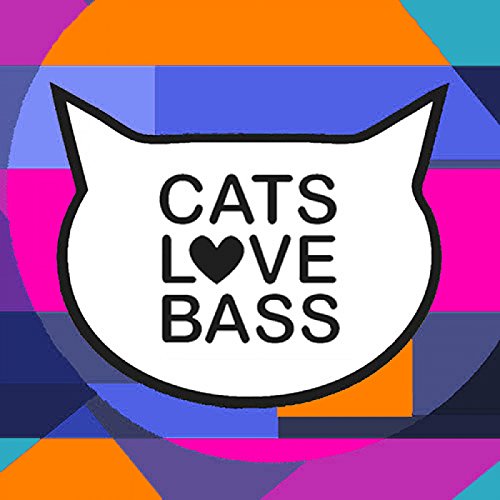 Best Cats Of 2016 von Various artists bei Amazon Music - Amazon.de