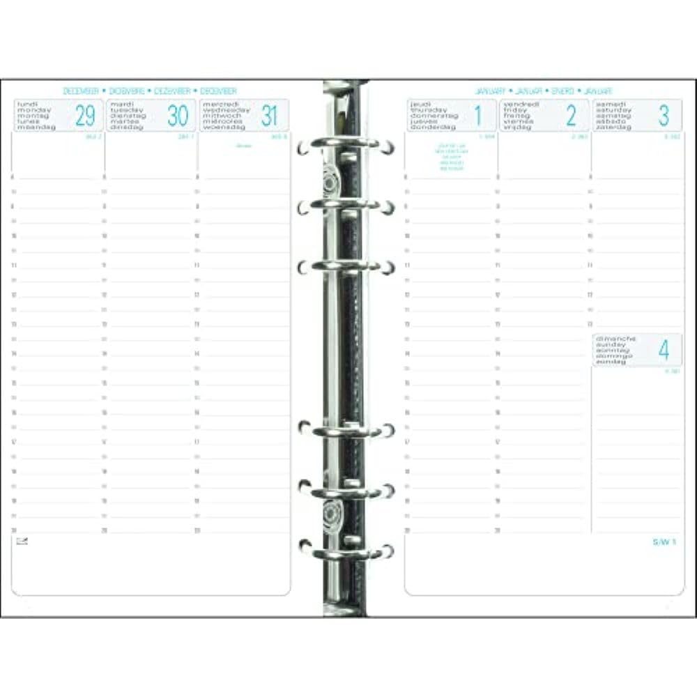 Exacompta Organiseur Exatime 17 Baltique 15x19 cm Sept 2026-Déc 2027 Marron