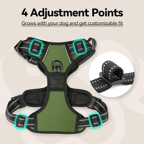 Image of PHOEPET No Pull Dog Harness with Handle Front & Back Clip, Easy on Lockable Snap Buckle at Neck, Adjustable Reflective Vest with Handle for Small Medium Large Dogs (S, Misty Green)