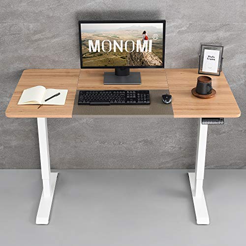 Monomi Height Adjustable Electric Standing Desk Dev & Gear
