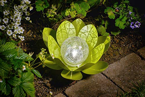Auraglow Lanterna a LED da Giardino Alimentata a