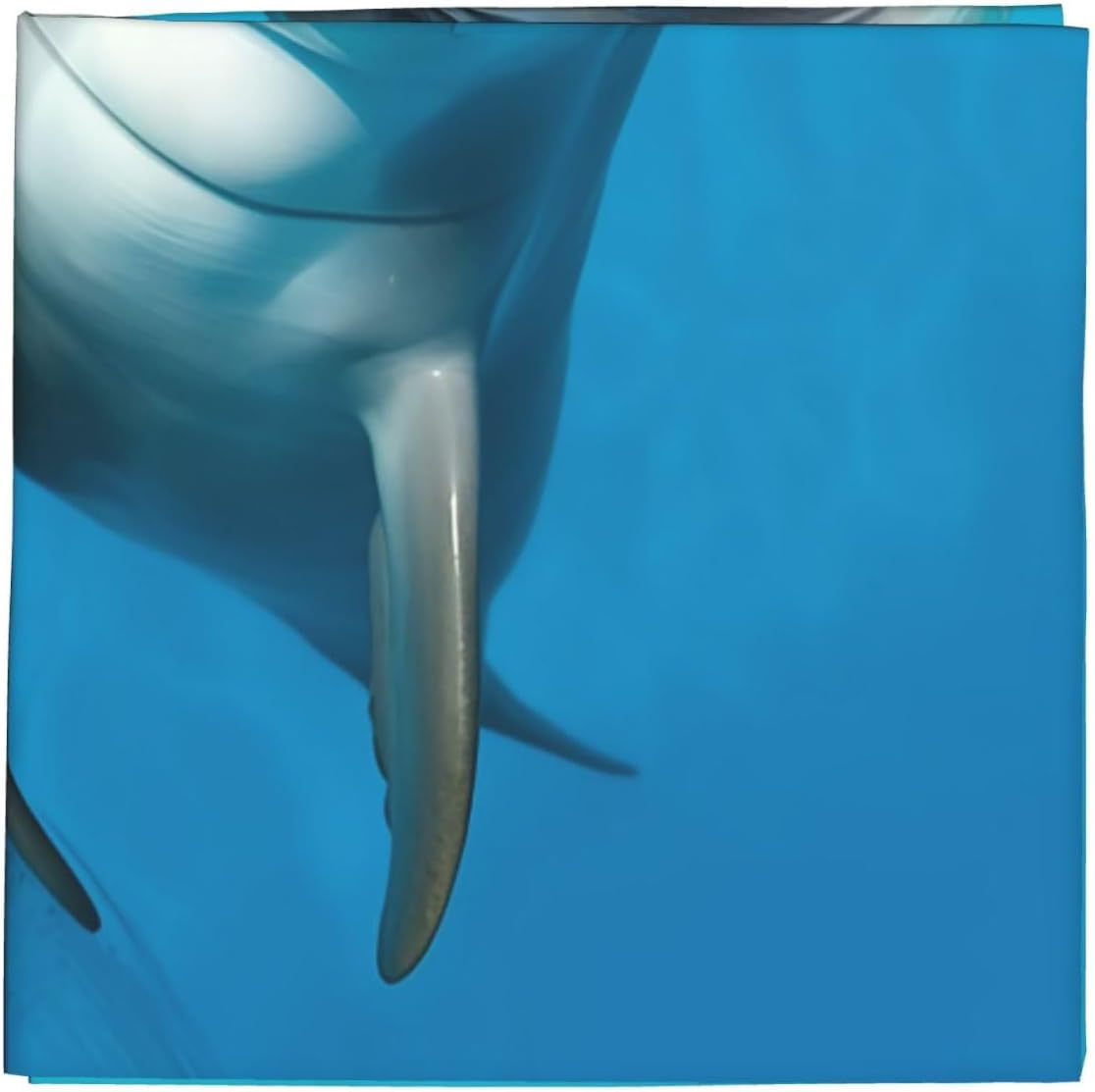 Smiling Face Dolphins Bandanas for Men Women Sports Cooling Face Cover Square Scarfs Multi-Use Headband Neckerchief 22x22 in Sun Protection Neck Wraps Gift for Festival Party