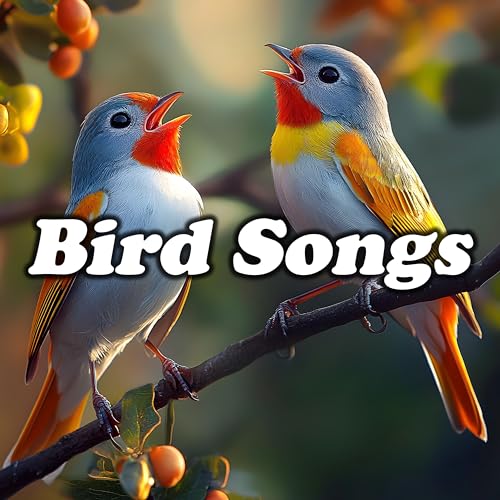 Bird Songs Bird Songs Digital Music