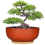 SQOWL 10 Inch Large Terracotta Planter Pot,Clay...