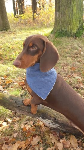 Bandana pour chien Dimples bleu tressé 60 cm accessoire premium - 3
